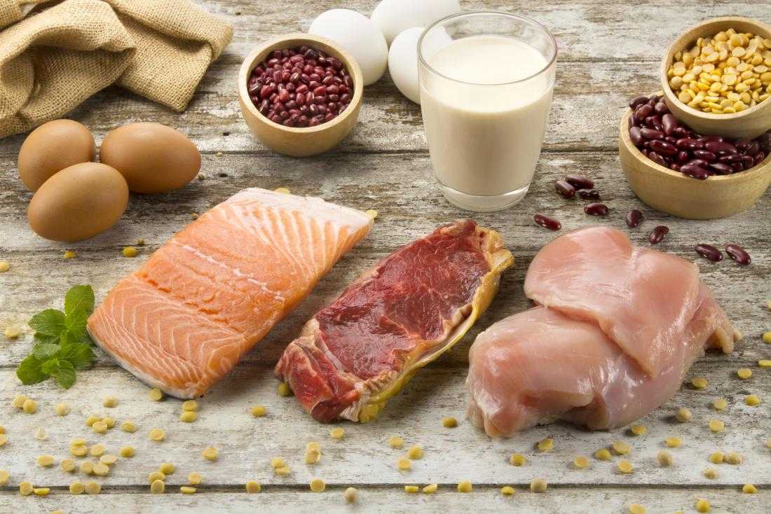 alimentos derivados do proteinas